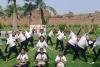International Yoga Day 2025